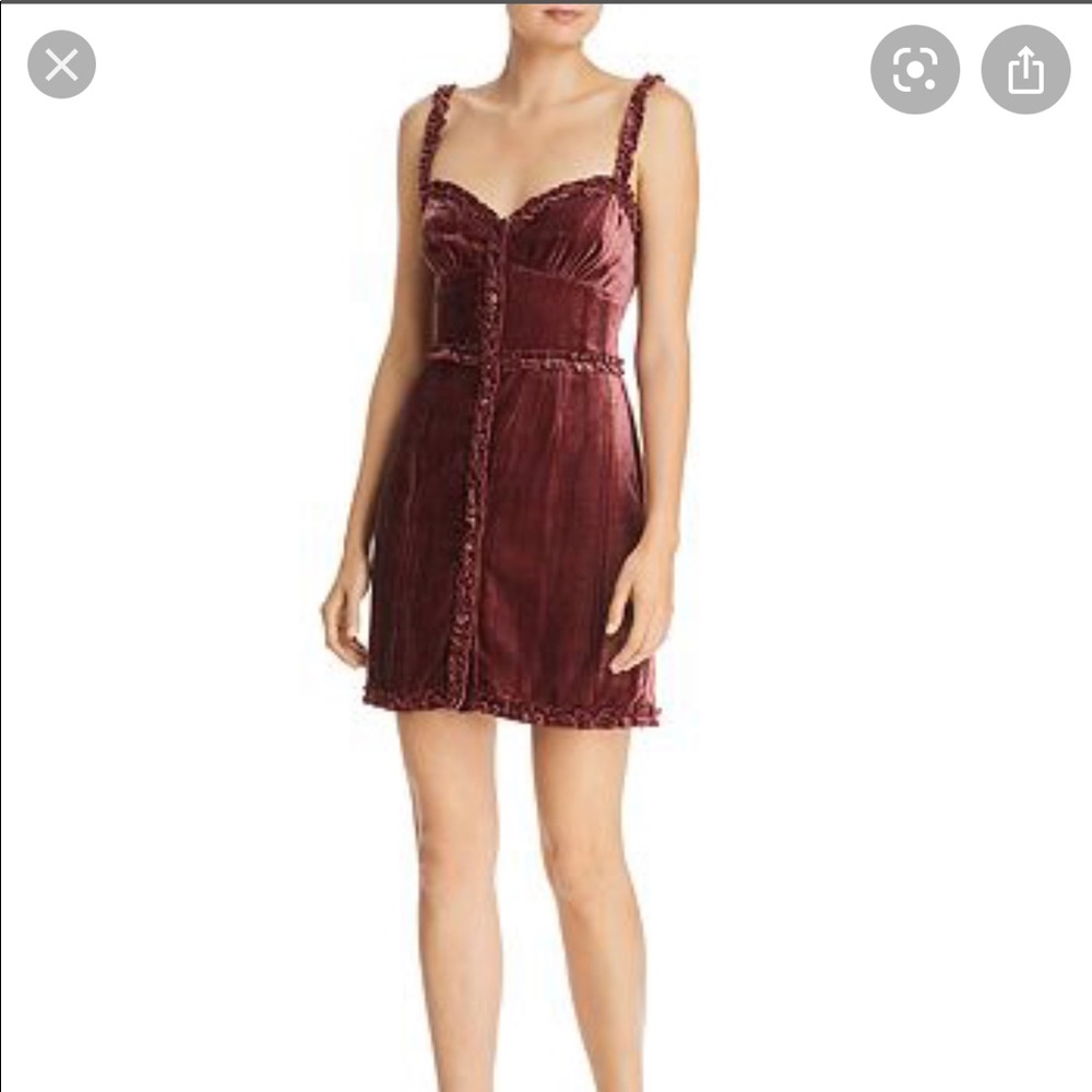 Donna Mizani pink velvet mini dress